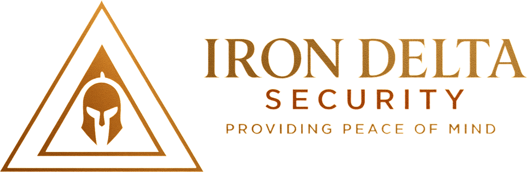 Iron Delta Security Logo 1